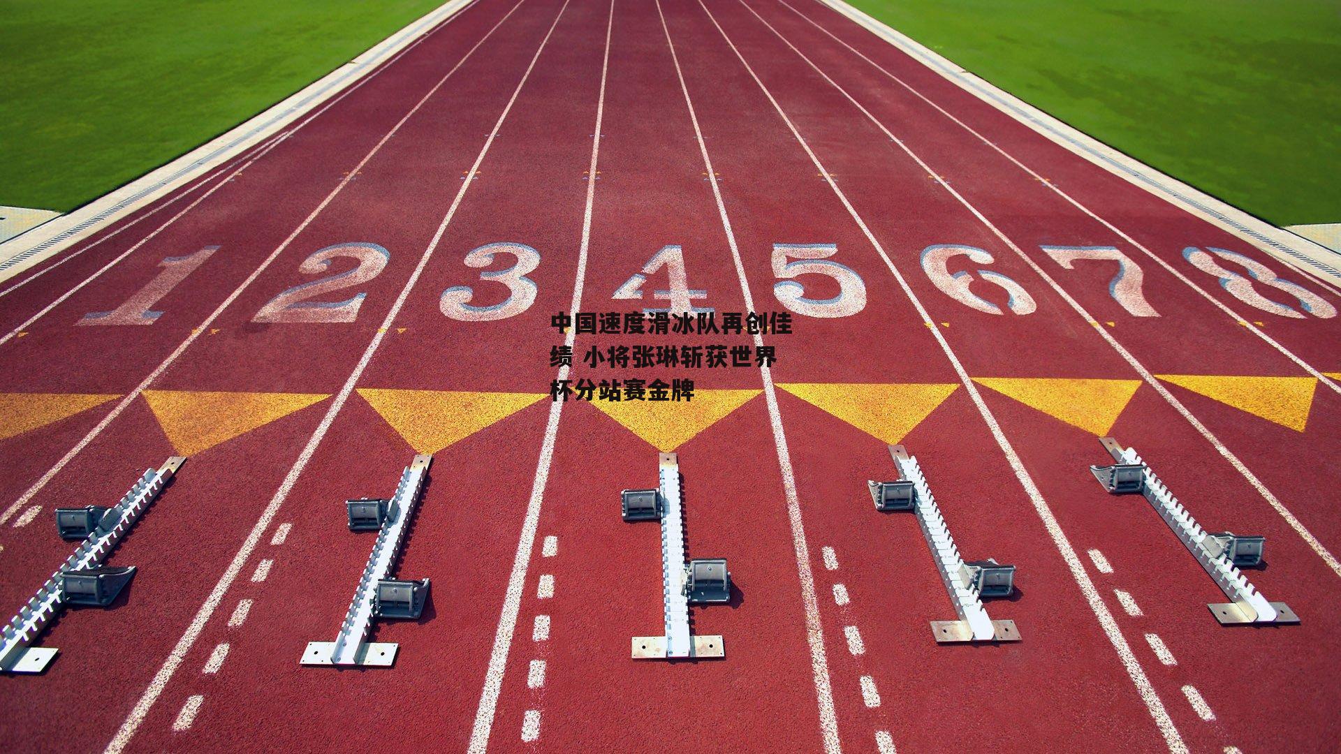 中国速度滑冰队再创佳绩 小将张琳斩获世界杯分站赛金牌