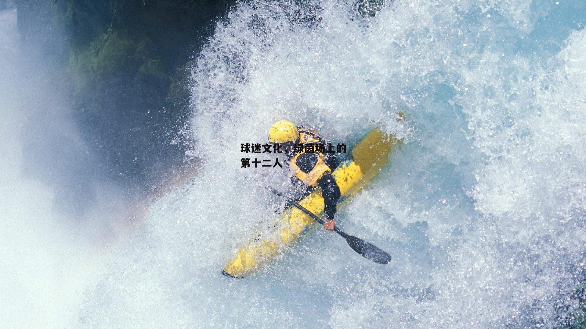 球迷文化,绿茵场上的第十二人